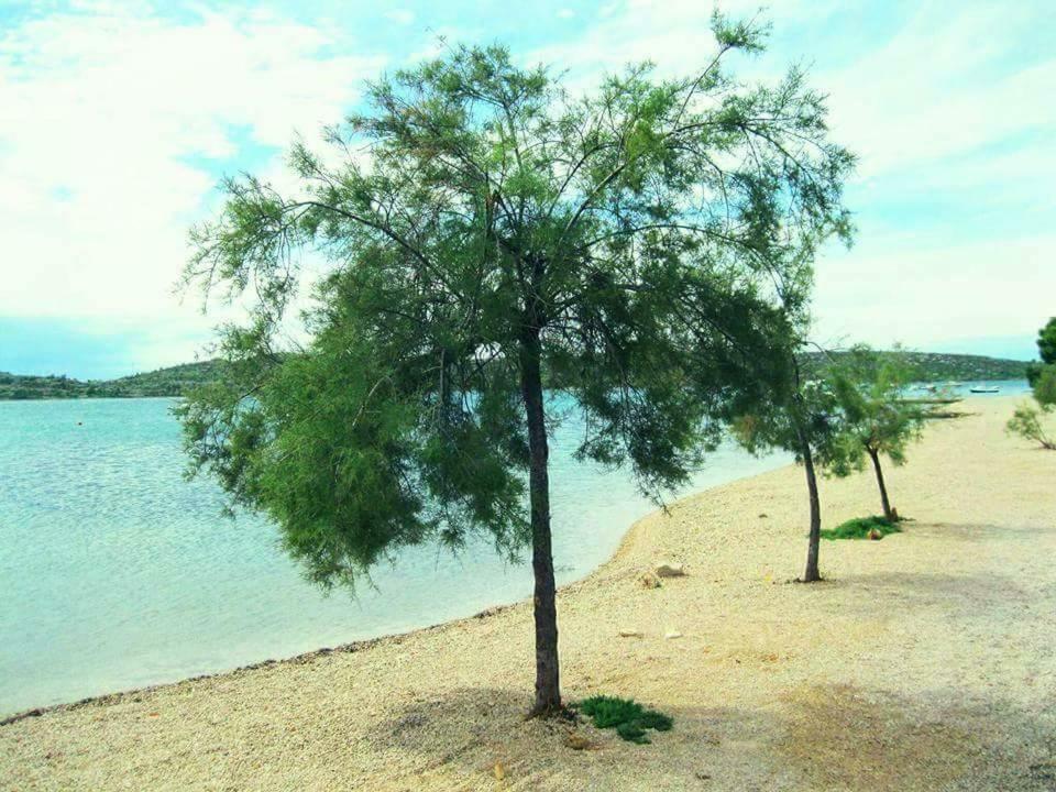 Apartments The Heart Of Croatia Пировац Екстериор снимка